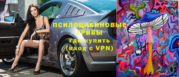 2c-b Гусев
