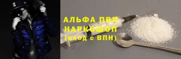 стаф Гусиноозёрск