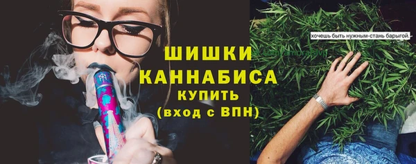 стаф Гусиноозёрск