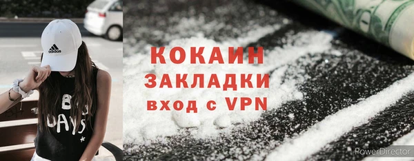 2c-b Гусев