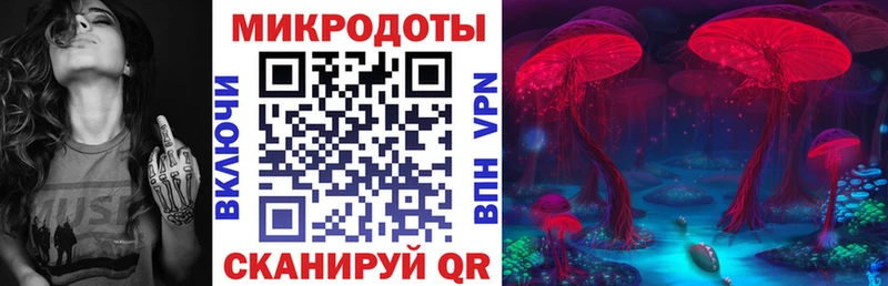 Купить  Ивангород  Псилоцибиновые грибы Magic Shrooms 