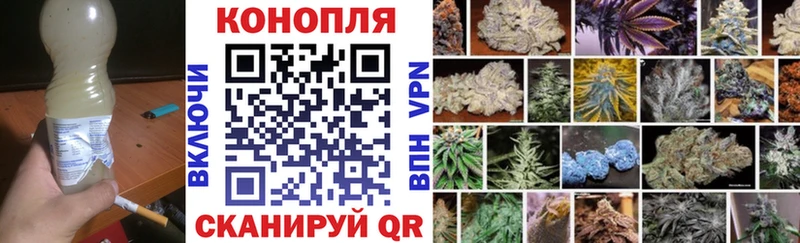 Бошки Шишки семена  Купить  Ивангород 
